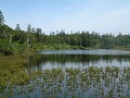 Hokkaido Niseko Shinsennuma